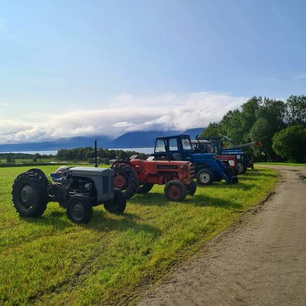 Kjøretøy - Div traktorer