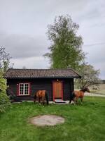 Vi kaller den Veslestua.  