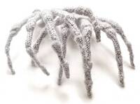 Anatomisk tekstilkunst