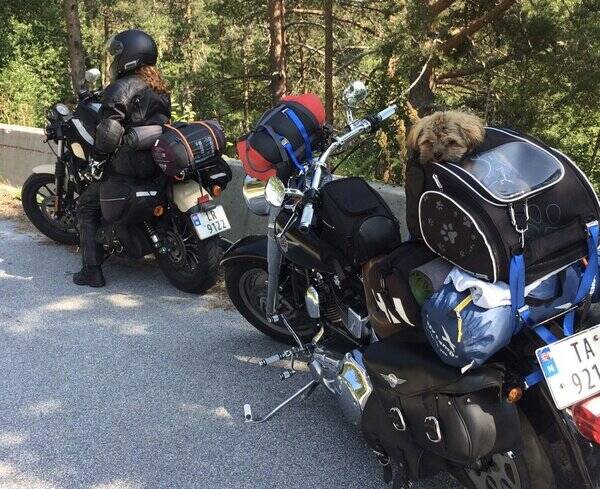 Kjøretøy - Harley Davidson