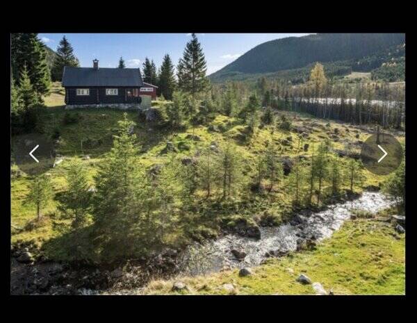 Hytte - Hytte med sæter på Totenåsen
