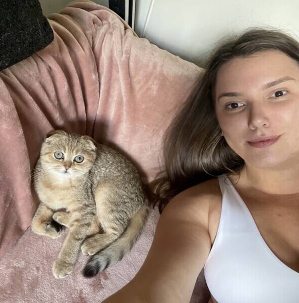 Katt - Scottish fold Emmy