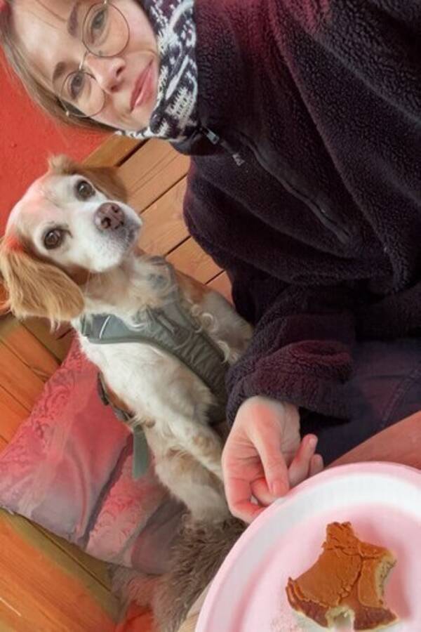 Hund - Breton, Mira