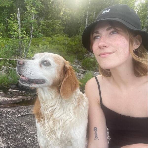 Hund - Breton, Mira