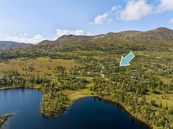 Hytte - Fjellhytte på Flå