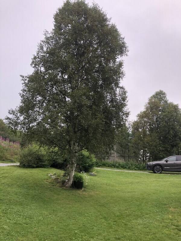 Kjøretøy - Mazda cx5