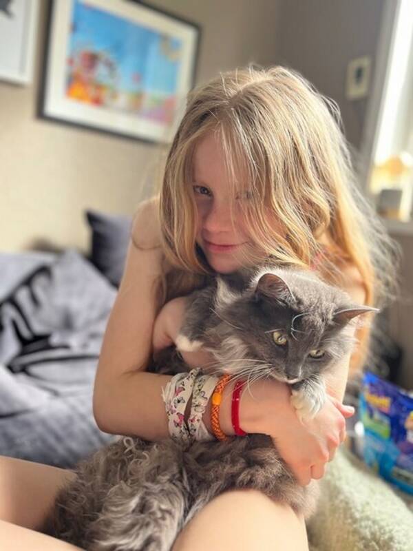 Katt - Langhåret katt