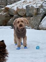 Doodledoodle Luna Doodledoodle Luna