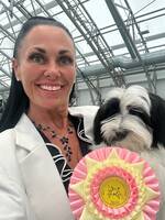 Cher, Bichon Havanais