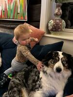 Bet American min. shepard Bet American min. shepard