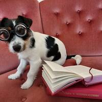 Maximillian Von Slurpenfis Maximillian Von Slurpenfis