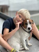 Gus - Jack Russel Terrier