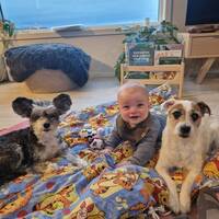 Powder puff 11år og jack russell 9år