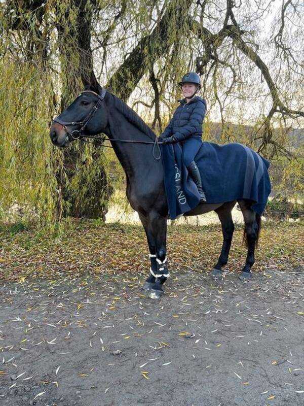 Annet - Irsk spotsponni-Carnhill Bertas Lad