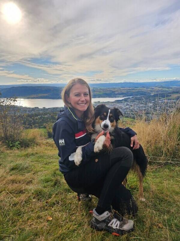 Hund - Gjeterhund Mix (Border Collie + Aussie)