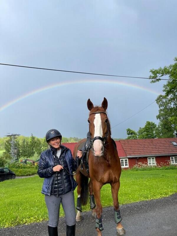 Annet - Hest, spansk 