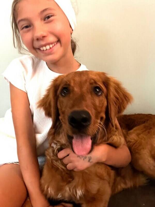 Hund - Jaktgolden Ulla