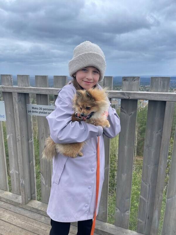 Hund - Pomchi Minnie