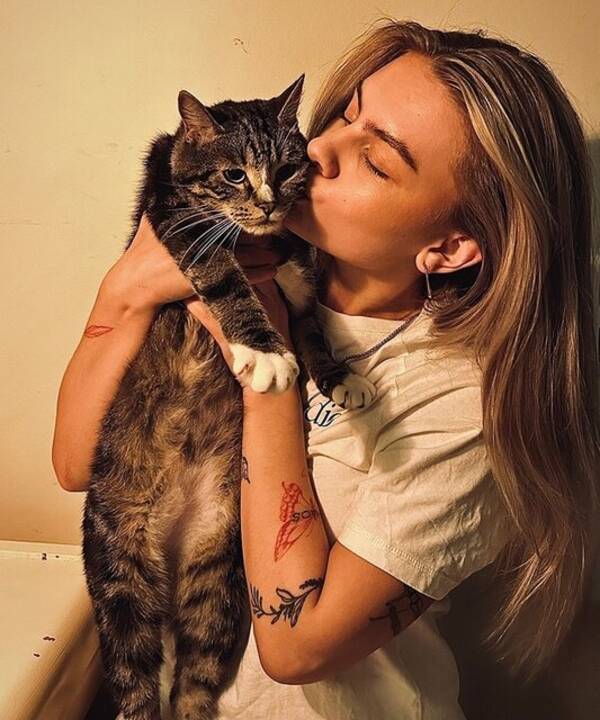 Katt - norsk skogkatt