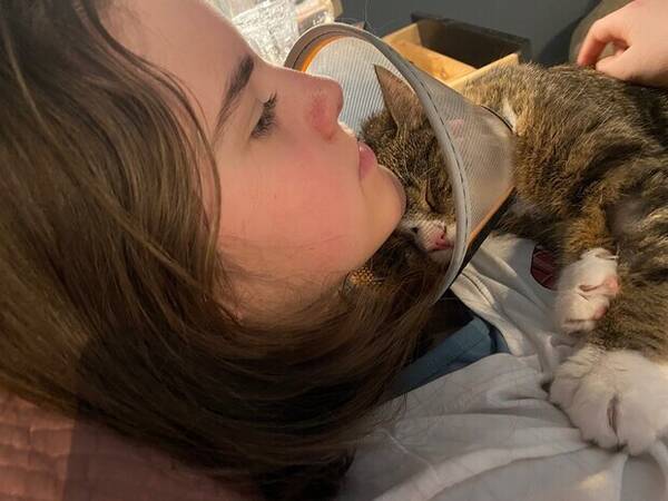 Katt - Prins Charles 