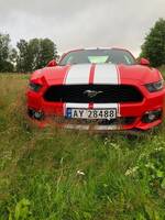 Ford Mustang 2015