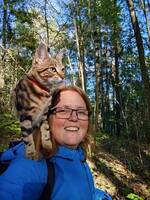 Phoebe en verdensvant Bengal mix Phoebe en verdensvant Bengal mix