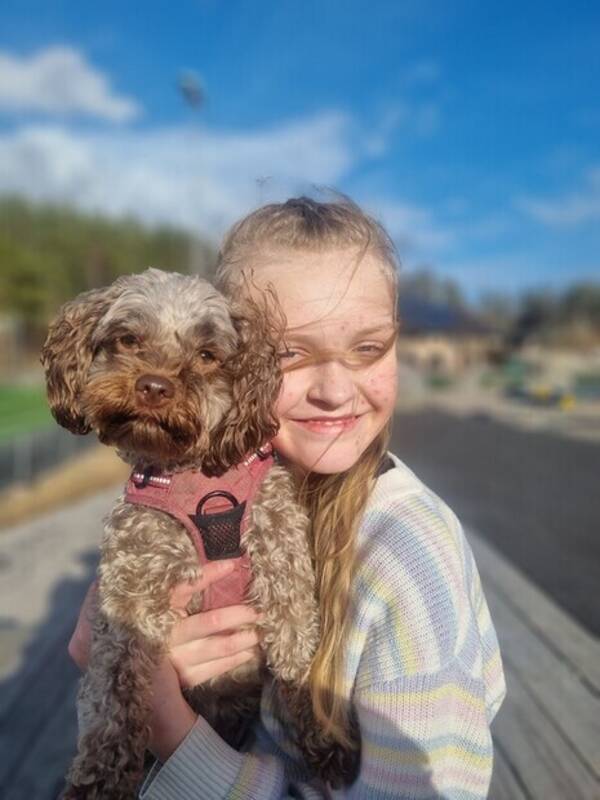 Hund - BOLONKA (Belle)