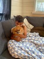 Pomeranian Pomeranian