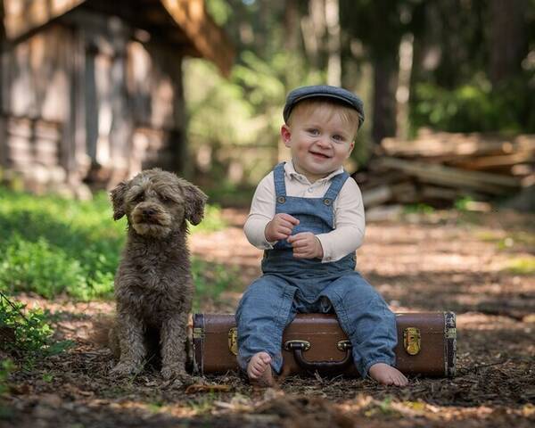 Hund - Chipoo Kasper