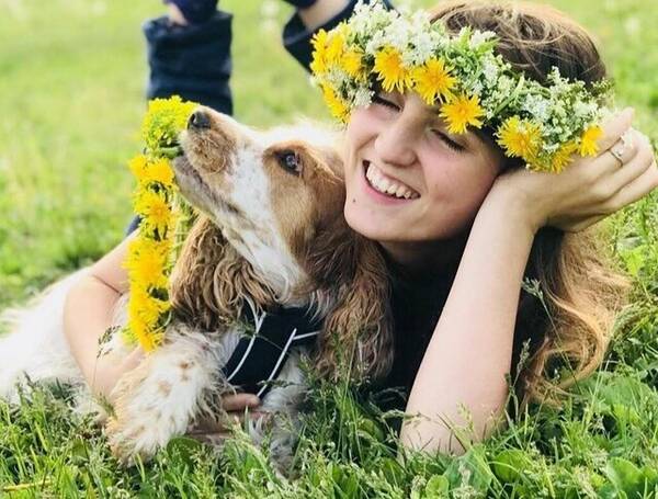 Hund - Engelsk cocker spaniel 