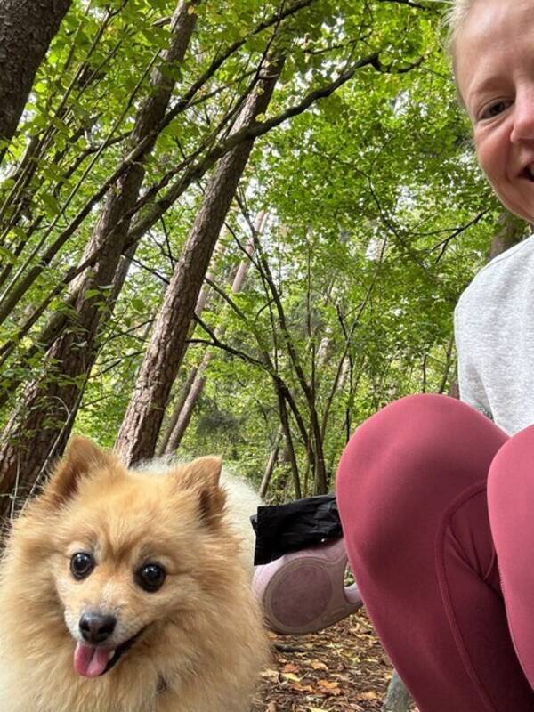 Hund - Søt og rolig hund