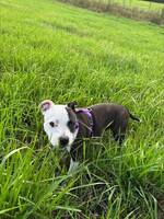 Staffen Nora Staffen Nora