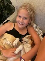 Dansk svensk gårdshund, Dansk svensk gårdshund,