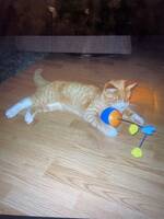 Odd Karsten Odd Karsten