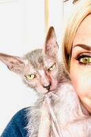 Varulvkatt Varulvkatt