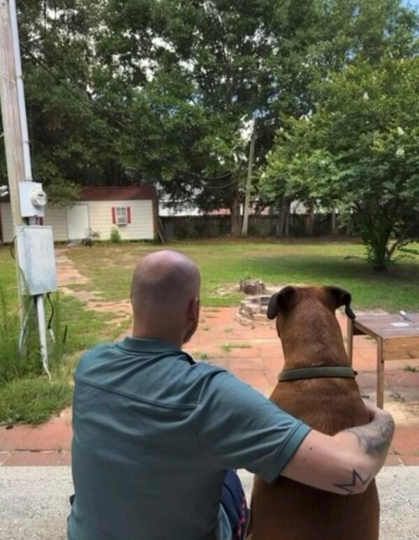 Hund - Don't disturb me