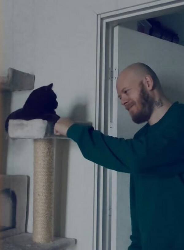 Katt - Hjälp mig hitta denna orange katt