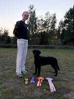 Flat coated retriver Flat coated retriver