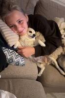 Pomchi?n PEPPA Pomchi?n PEPPA