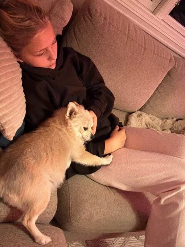 Hund - Pomchi?n PEPPA 