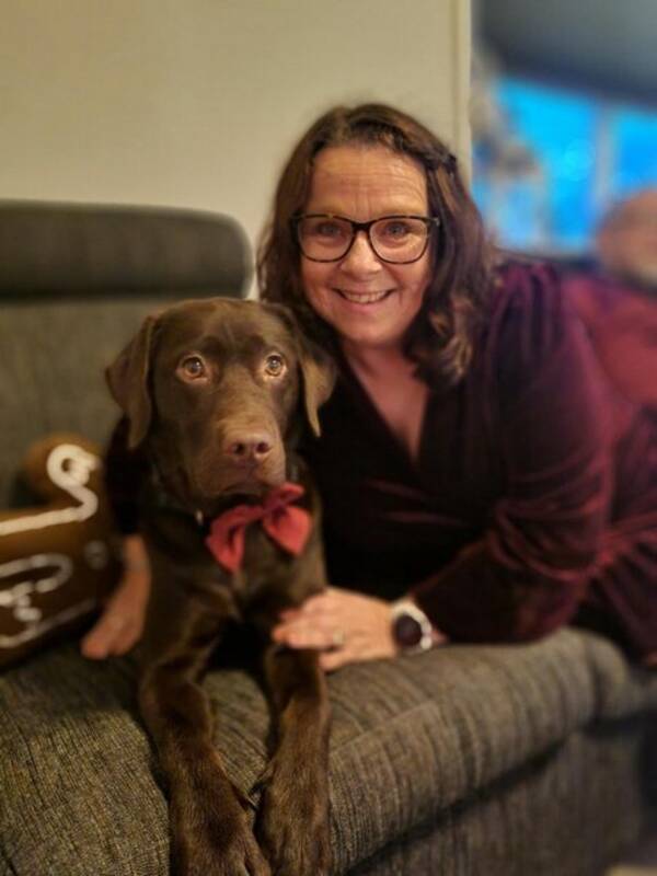 Hund - Labrador retriever 