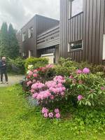 Hus i Eltonveien 13 Hus i Eltonveien 13