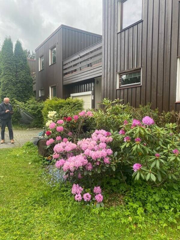 Hus - Hus i Eltonveien 13