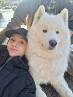 Samoyedhund, Ainu Samoyedhund, Ainu